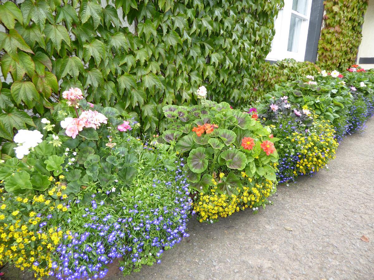 Marykirk Hotel Exteriör bild